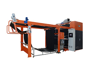 双锡林刺果起毛机（WPF-SCG)