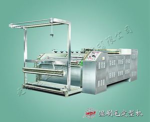 WPF-SM湿刷毛定型机